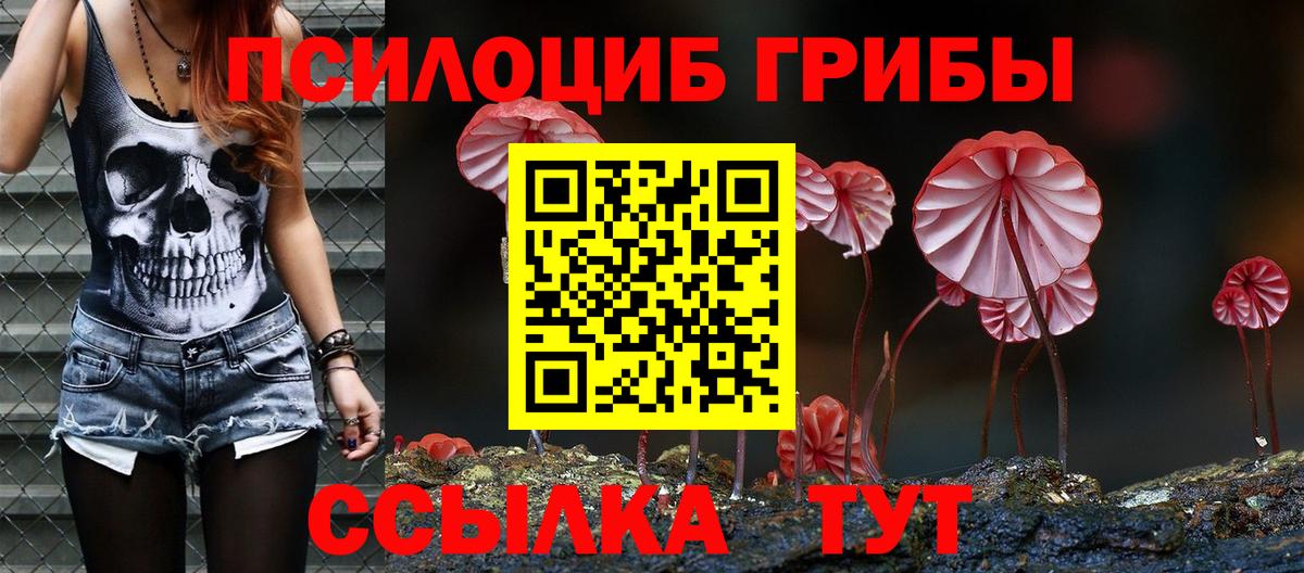 Псилоцибиновые грибы Psilocybe Ростов Великий