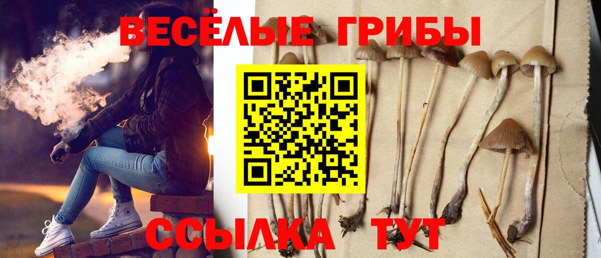 Ростов Великий  Галлюциногенные грибы MAGIC MUSHROOMS  Вход с VPN 