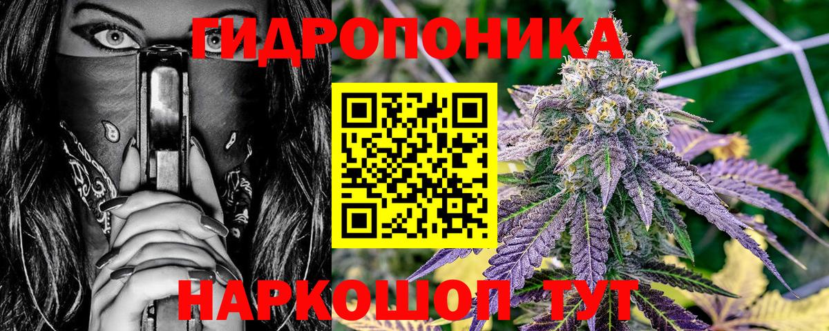 Бошки Шишки план Ростов Великий